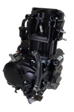 ENG24 WATER COOLED ENGINE 167MM 250CC FOR BASHAN BS250S-11B 250CC QUAD BIKE ATV