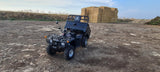 BASHAN I-GO X ATV FARM UTILITY QUAD VEHICLE 250CC TIPPER