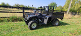 BASHAN I-GO X ATV FARM UTILITY QUAD VEHICLE 250CC TIPPER