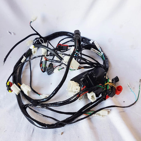 WIR31 WIRING LOOM HARNESS FOR BASHAN BS200AU-11B 200CC QUAD BIKE