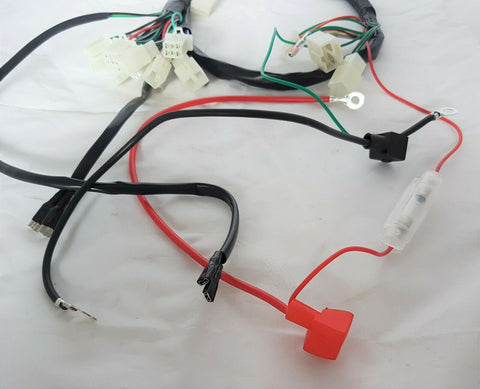 WIR35 WIRING LOOM HARNESS FOR 110CC JLA-02 JINLING JUNIOR OFF ROAD QUAD BIKE