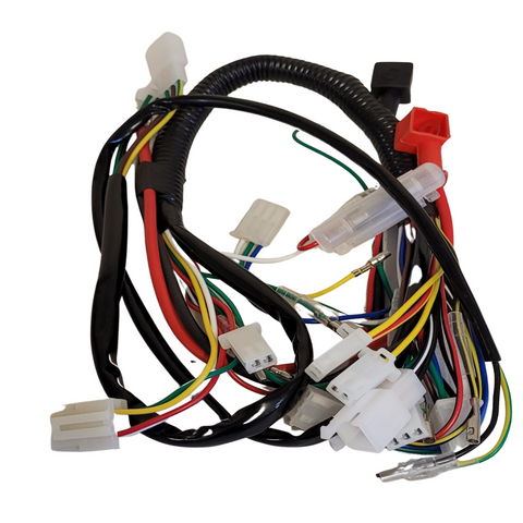 WIR39 WIRING LOOM HARNESS FOR 110CC 125CC QUAD ELECTRIC START TWIN HEADLIGHT