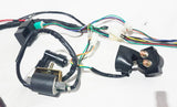 WIRSET01 WIRING AND PARTS FOR 110CC 125CC QUAD LOOM, CDI, RELAY, REGULATOR,